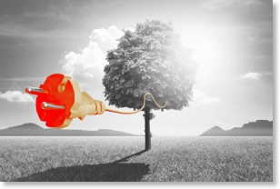 anergytree